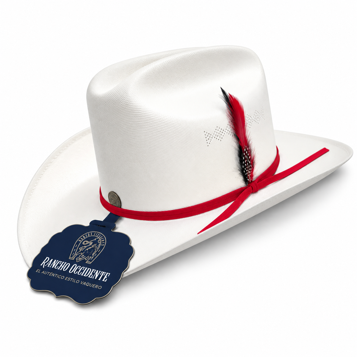Sombrero Vaquero de Lona Tipo Sinaloa Dama