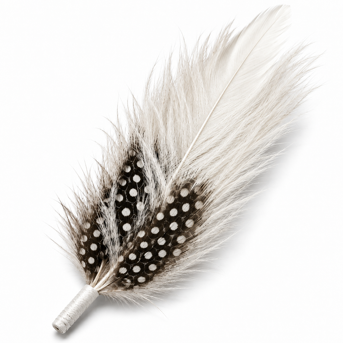 Pluma Fina Para Sombrero