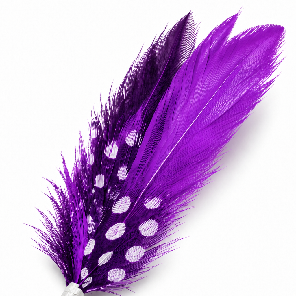 Pluma Fina Para Sombrero