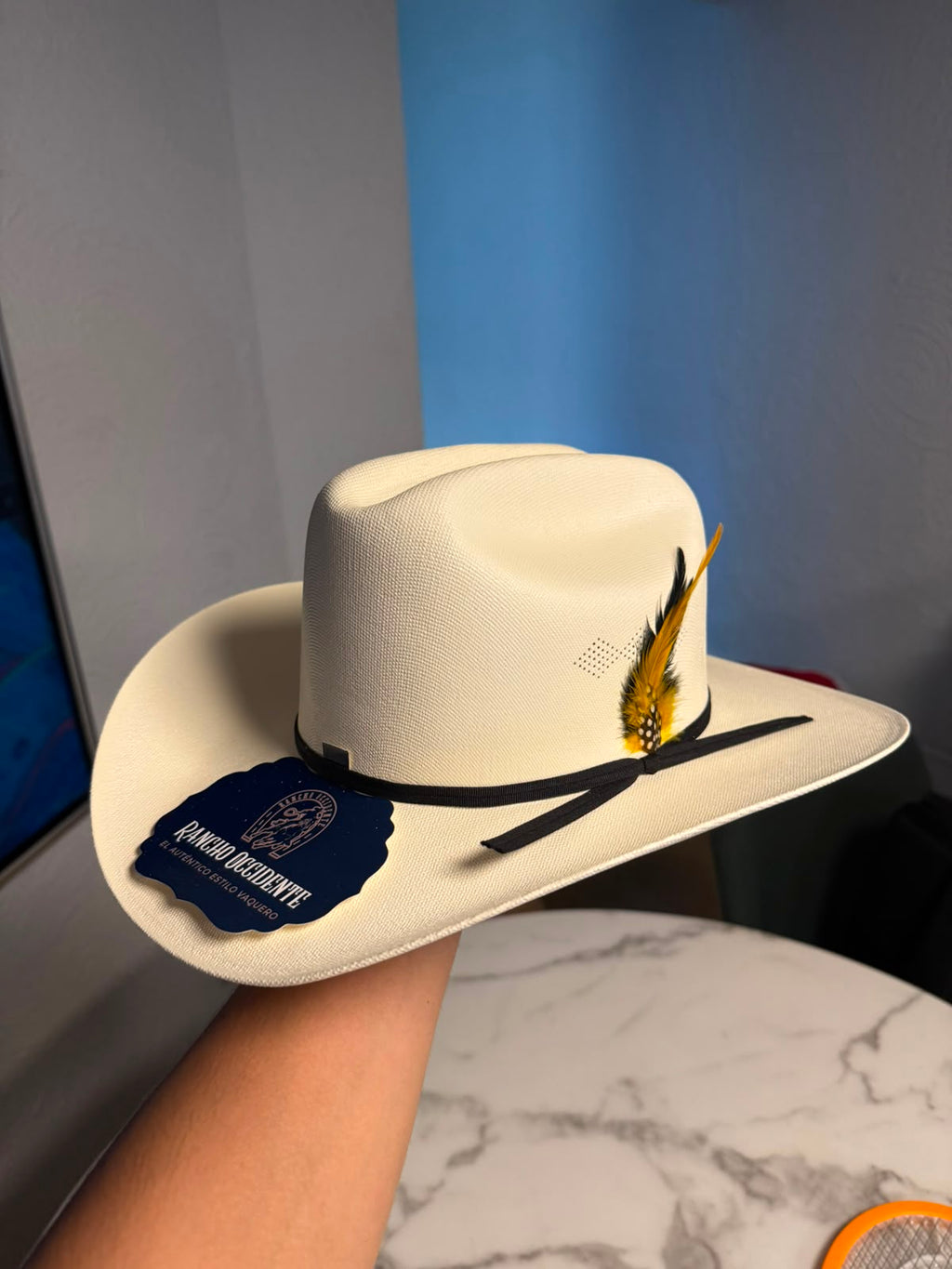 Sombrero Vaquero de Lona Tipo Sinaloa