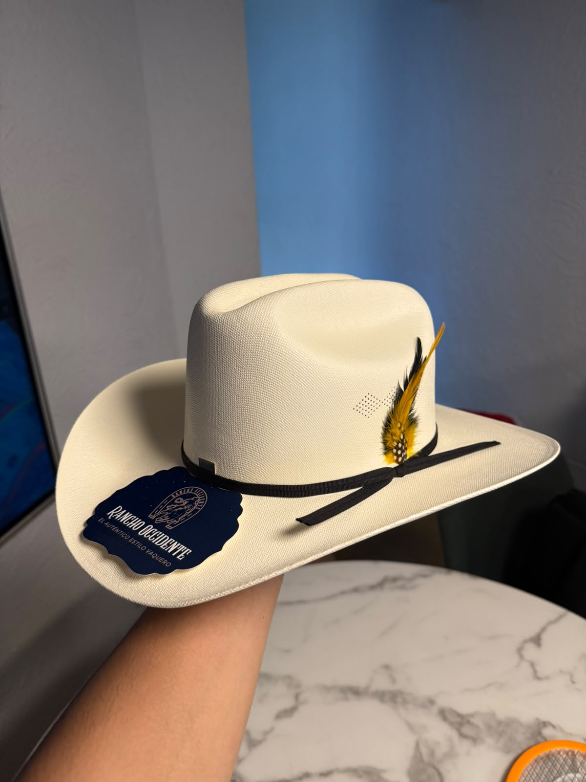 Sombrero Vaquero de Lona Tipo Sinaloa