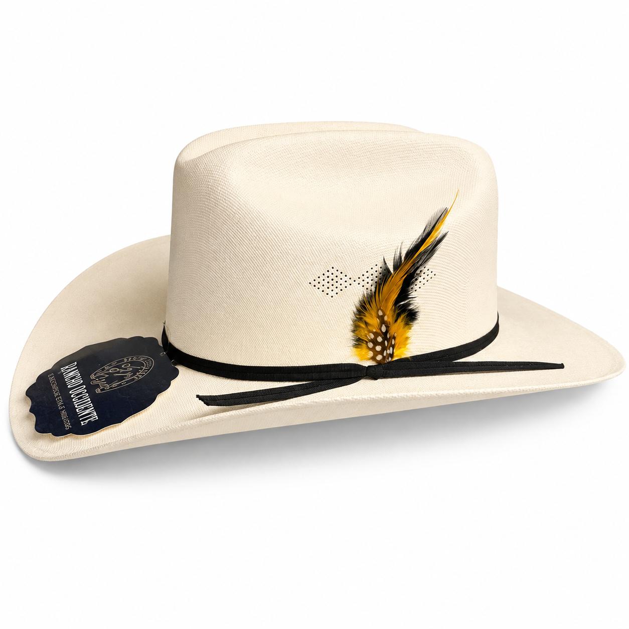 Sombrero Vaquero de Lona Tipo Sinaloa